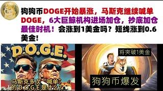 狗狗币DOGE开始暴涨，马斯克继续喊单DOGE，6大巨鲸机构进场加仓，抄底加仓最佳时机！会涨到1美金吗？短线涨到0.6美金#DOGE币#马斯克狗狗币#DOGE行情分析