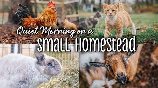 Quiet Morning on a Small Homestead - ASMR (No talking or music)