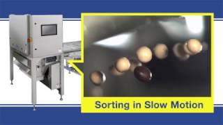 SATAKE Belt Type Optical Sorter Slow Motion Video〈English ver.〉