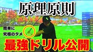 【原理原則を入り口から】超王道レッスン‼︎なぜ片手素振りが重要なのか、本当に知っていますか？1から紐解く原理原則【BTGプロジェクト#2-3】