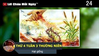 THỨ 4 TUẦN 3 THƯỜNG NIÊN Hạt giống