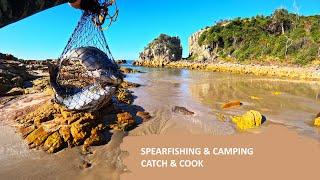 Spearfishing and Camping - catch and cook adventures at crowdy head national park