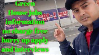 Dubai New Job Information Update Free Apply Now //Dubai how to get this job