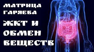 Correction of gastrointestinal tract and metabolismGaryaev's MatrixQuantum Sound Healing