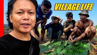 Life with a Cambodian Deportee CATCH and COOKING fish in the countryside (Episode 4)