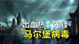 马尔堡病毒与埃博拉病毒有何不同？它又是如何空降到欧洲的？【奇思诺想】