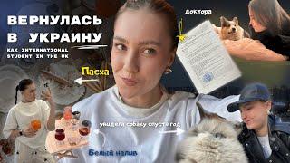 ВЕРНУЛАСЬ ДОМОЙ НА КАНИКУЛЫ спустя ГОД // КИЕВ // Пасха, друзья, рестораны, собака