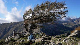 Guide for the Hardest Hike in Europe | GR20 Corsica France