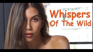 Whispers of the Wild with Anya Krey, Onlyfans, Forest, 4K Video
