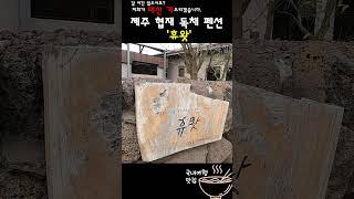 [국내여행펜션] 제주 펜션추천 제주 협재 독채 펜션 '휴왓' 제주도펜션, 제주도펜션탐방