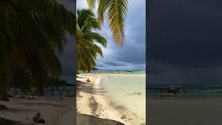 When it‘s about to rain in paradise️ #shorts #moorea #tahiti