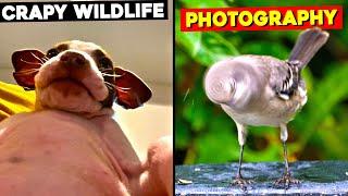 Funny Bad Wildlife Photos