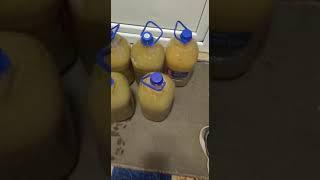Медовуха-медово-перговый напиток