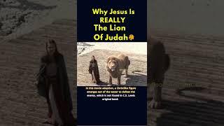 Why Jesus Is REALLY The Lion Of Judah  #shorts #youtube #jesus #lionofjudah  #catholic #fypシ