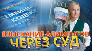 Взыскание алиментов в судебном порядке. Практические советы от адвоката.