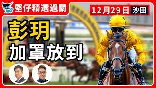 【堅仔精選過關】(12月29日) 彭玥 加罩放到｜賽馬貼士​​​​​​​｜賽馬賠率​​​​​​​​​​​​​​​​​​​｜沙田日賽