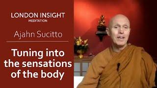 Ajahn Sucitto - Tuning into the body (with guided practice)