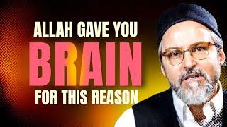 Reason behind your intellect - Shaykh Hamza Yusuf