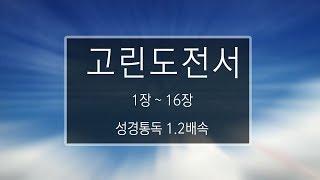 성경 읽기: 고린도전서 1장 - 16장