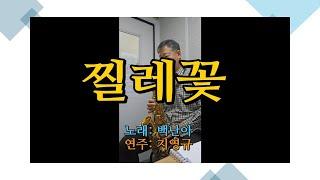 찔레꽃(노래:박난아, Covered by Saxophone: 지영규)