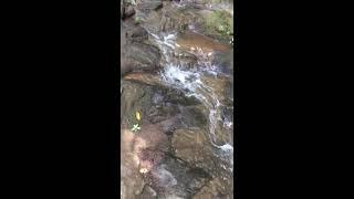 FLOWING STREAM OF WATER -  ASMR SOUNDS -  PEACEFUL SOUND - CALMING NOISE #asmrsounds #asmr #water