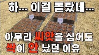 아무리 씨앗을 심어도 싹이 나지 않았던 이유. 파종 방법과 씨앗 발아를 위해 주의해야 할 사항.