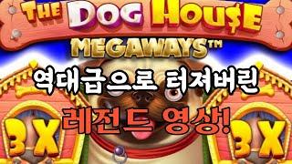 [슬롯][슬롯머신] 더 도그 하우스 메가웨이 : THE DOG HOUSE MEGAWAYS -역대급으로 터죠버린 레전드 영상! SLOT FREE GAME