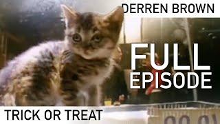 Try NOT To Kill The Cat: Trick or Treat | FULL EPISODE | Derren Brown