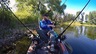 Summer Carp Fishing from the Kayak - I've Had Worse Days