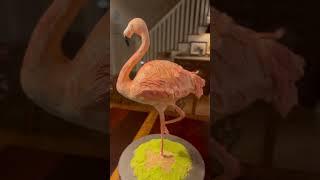 TERRIFYING CAKE DELIVERY #cake #art #flamingo