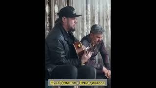 Нука Успанов Нена дикалла