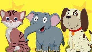 животных Звук песни | узнать животных | образовательная песня | Animal Sound Song | Animals For Kids