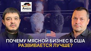 Мясной бизнес в Казахстане и США: чего не хватает нашим фермерам?