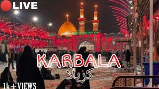 LIVE KARBALA 11 SAFAR STATUS ZONE NOHAY