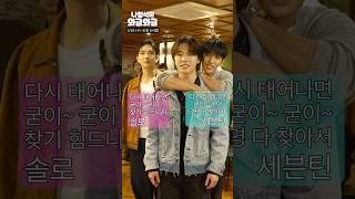(수욜예고) 번개처럼찾아온 세븐틴10살기념 와글