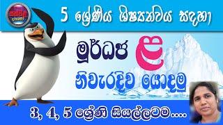 මූර්ධජ 'ළ' අක්ෂරය නිවැරදිව වචනවල යොදමු. Grade 5 scholarship exam. Grade 3 sinhala. මූර්ධජ අකුරු .