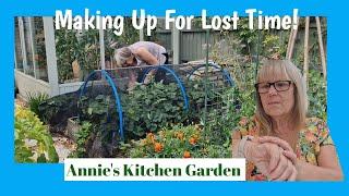 MAKING UP FOR LOST TIME! Strawberry Runners; Hanging Onions; Tying In, Cutting Back and Pulling Up