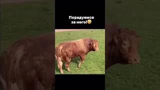 Всем хороших выходных  Анекдот в тему 