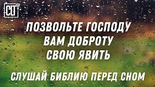 Счастлив тот человек, который Богу себя вверяет | Звуки природы | Библия #Relaxing #bible #jesus