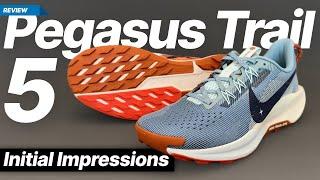 Nike Pegasus Trail 5- Road to trail performance