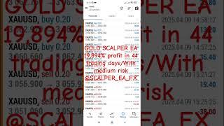 GOLD SCALPER EA 19,894% profit in 44 trading days/With medium risk