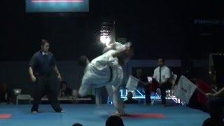 Kyokushin Jonathan Gonzalez vs Rodrigo Soto - Bushido 16 Man Open Weight karate Tournament