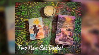 Two Unexpected Cat Tarot Decks Arrived Today! Cat Folk Tarot & Cat Aura Tarot