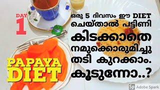 Papaya weightloss challenge/Day1/ ഒരു 5 ദിവസം ഈ Diet  ചെയ്താൽ പട്ടിണി കിടക്കാതെ  തടി കുറക്കാം.