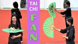 Tai Chi Fan For Beginners