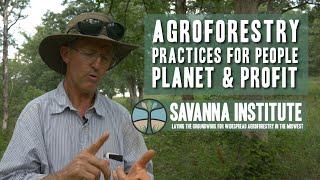 Agroforestry Practices for People, Profit and Planet