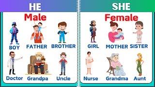 He and She Use for kids | Understanding “He” and “She” in English | Quick Grammar Tips | He and She