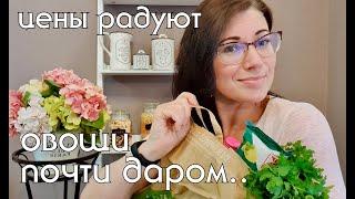 Цены на продукты в Германии, много русских продуктов. Наша недельная закупочка #нашажизньвгермании