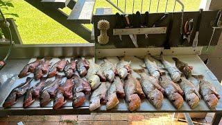 Fishing North Queensland