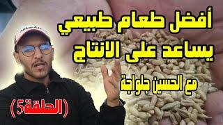 تربية الدجاج البياض - أفضل طعام طبيعي للدجاج لإنتاج البيض دون مشاكل مع المربي حسين جلواجة (الحلقة 5)